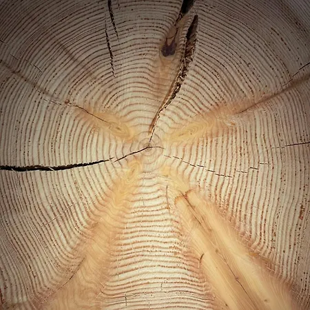 Πανσιόν La Reverie De Thumel - 5*